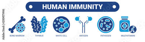 Human Immunity web banner icon vector illustration concept with icons of bone marrow, thymus, white cell, antigen, pathogen, and multivitamin.