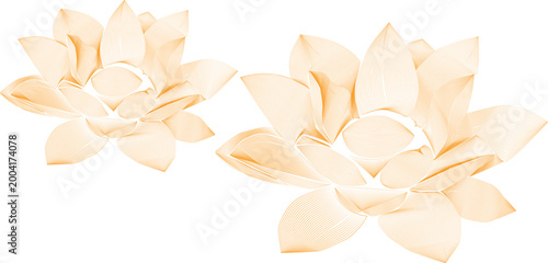 Abstract Orange Lotus Flower Line Art Pattern, Decorative Floral Vector Illustration
Elegant abstract lotus flowers created with detailed line art in vibrant orange tones. 