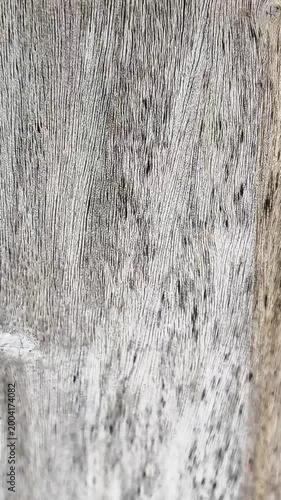 Wall texture wooden close up background, abstract surface detail