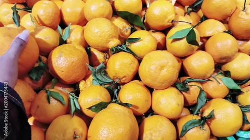 Close up of man's hand choosing fresh oranges, healthy fruits background, market fruit concept.