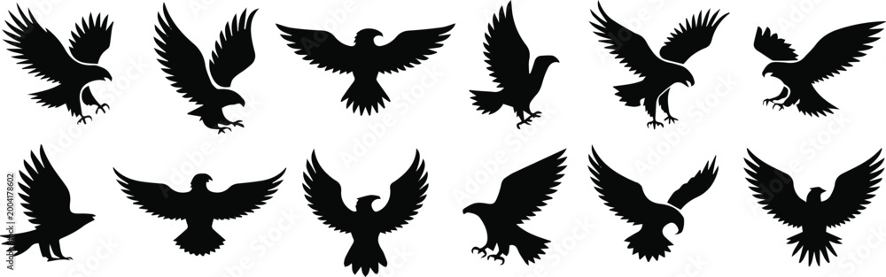 Fototapeta premium Eagle wing feather silhouettes for pattern and textile