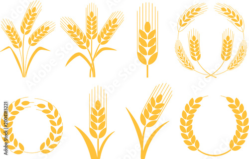 Wheat ear icons and agricultural elements, detailed vector illustration of wheat rice and cereal crops symbolizing agriculture harvest food supply and bread nutrition design.