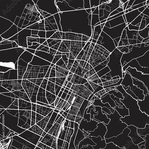 Slika na platnu Turin Italy Vector Map, Detailed City Street Map Black and White Minimalist Line