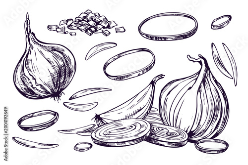 Hand drawn onion illustration rendered with ink and pen. Set of whole vegetable, slice, ring and chop for culinary recipe, food packaging, organic grocery store and farm harvest market.