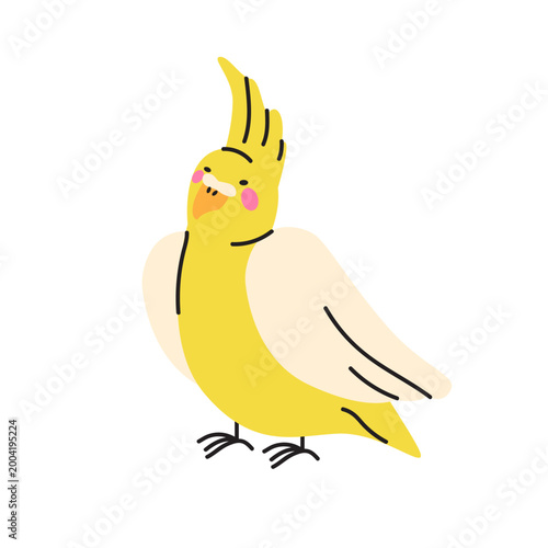 Cute vector illustration of a yellow cockatiel parrot with a prominent crest and rosy cheeks isolated on a white background