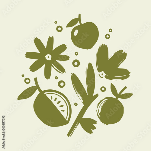 Kombucha Botanical Fruit Vector Illustration Drawing, Hand-Drawn Brush Stroke style Logo with Citrus Apple and Flowers, Minimalist Naïve Folk Art Style for Artisanal Branding
