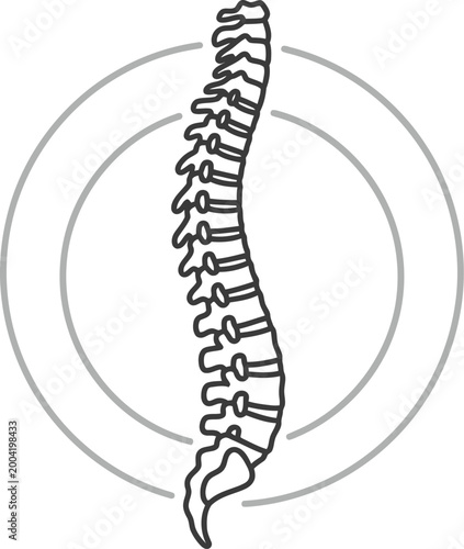 Slika na platnu Spine anatomy vector illustration, human backbone