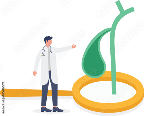 Doctor inspecting gallbladder with large magnifying glass