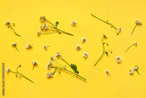 Composition with fresh cham...