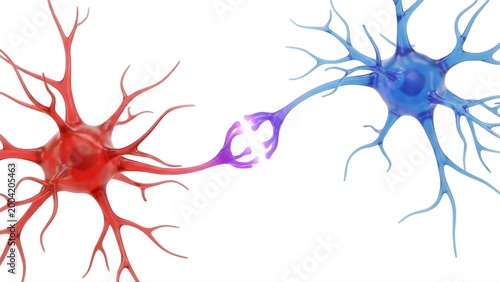 A colorful illustration of two neurons communicating with each other on transparent background