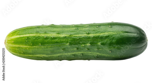 Single fresh green cucumber vegetable with bumpy skin isolated on a plain white background