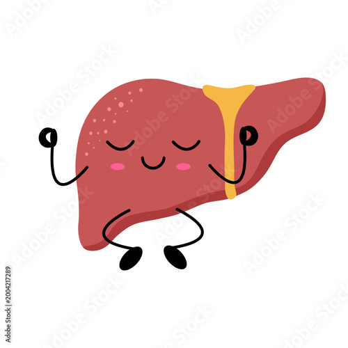 Cute cartoon liver with happy expression, small arms, and legs. Red organ smiles with closed eyes and rosy cheeks. Yellow bile duct visible. Perfect for health, anatomy, or wellness themes