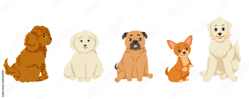Fototapeta premium Cute cartoon dog set with different breeds including poodle, bichon frise, pug, chihuahua and golden retriever sitting in a row. Vector hand drawn illustration isolated on white for stickers and print