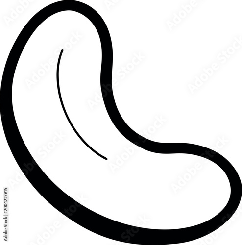 Cashew nut vector icon illustration
