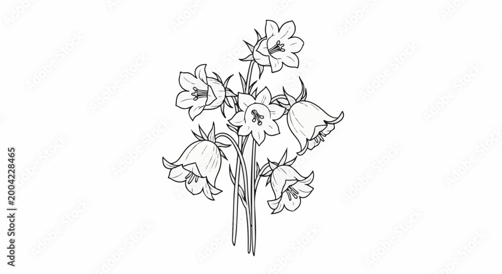 Fototapeta premium Delicate bell-shaped flowers and buds depicted in a line drawing style