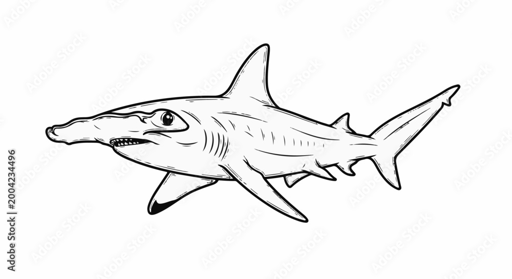 Obraz premium Stylized sketch of a hammerhead shark in black and white