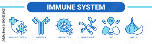 Immune System web banner icon vector illustration concept with icons of immune system, antibody, virus block, lymph node, zinc, and garlic.