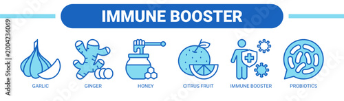 Immune Booster web banner icon vector illustration concept with icons of garlic, ginger, honey, citrus fruit, immune booster, and probiotics.