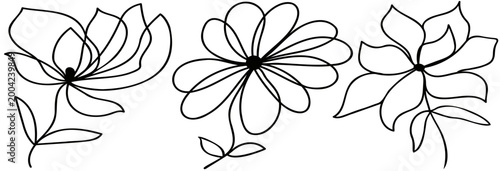 Flowers on a stem. Black and white floral drawing. Vector illustration for your design. Simple linear style.