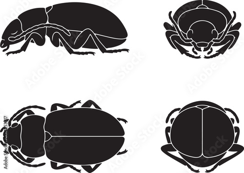 beetle silhouette icons set side, front, back, and top view insect vector illustration