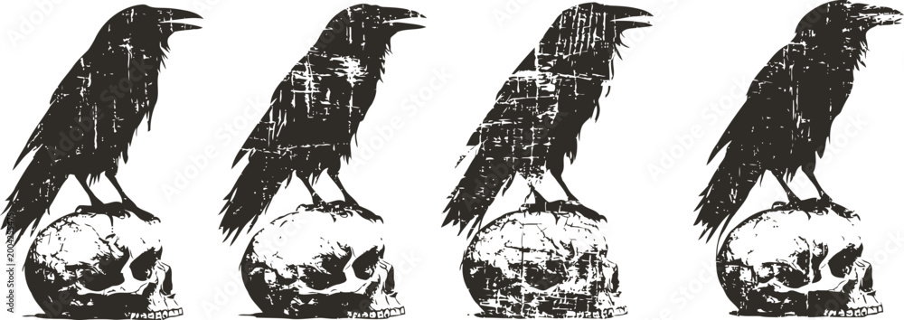 Fototapeta premium grunge raven perched on human skull illustration in vintage gothic with distressed texture