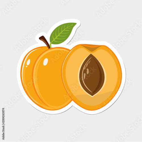 Illustration of two apricots, one whole and one halved