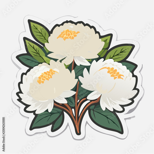 Illustration of three white peonies with green leaves