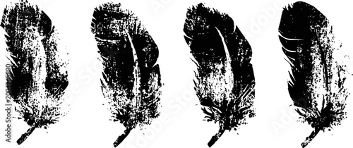 set of four black feather silhouettes with textured grunge effect on white background