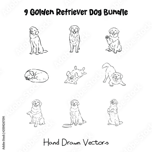 9 Golden Retriever Dog Bundle Various Poses Hand Drawn Line Art Vector Illustration Coloring Page