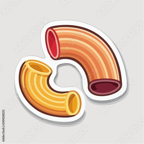 Two Elbow Macaroni Pasta Shapes