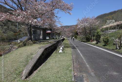旧片上鉄道の駅とサイクリングロード