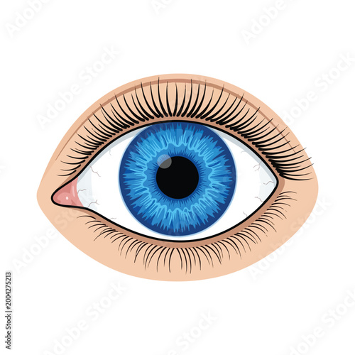 Human Eye with Blue Iris Illustration

