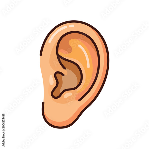 Human Ear Anatomy Illustration