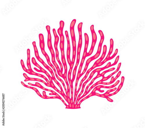 Coral reef deep undersea red seaweed plant. Aquarium aquatic seaweed, coral reef landscape undersea isolated vector flora. Tropical sea bottom water plant or ocean underwater algae leaf