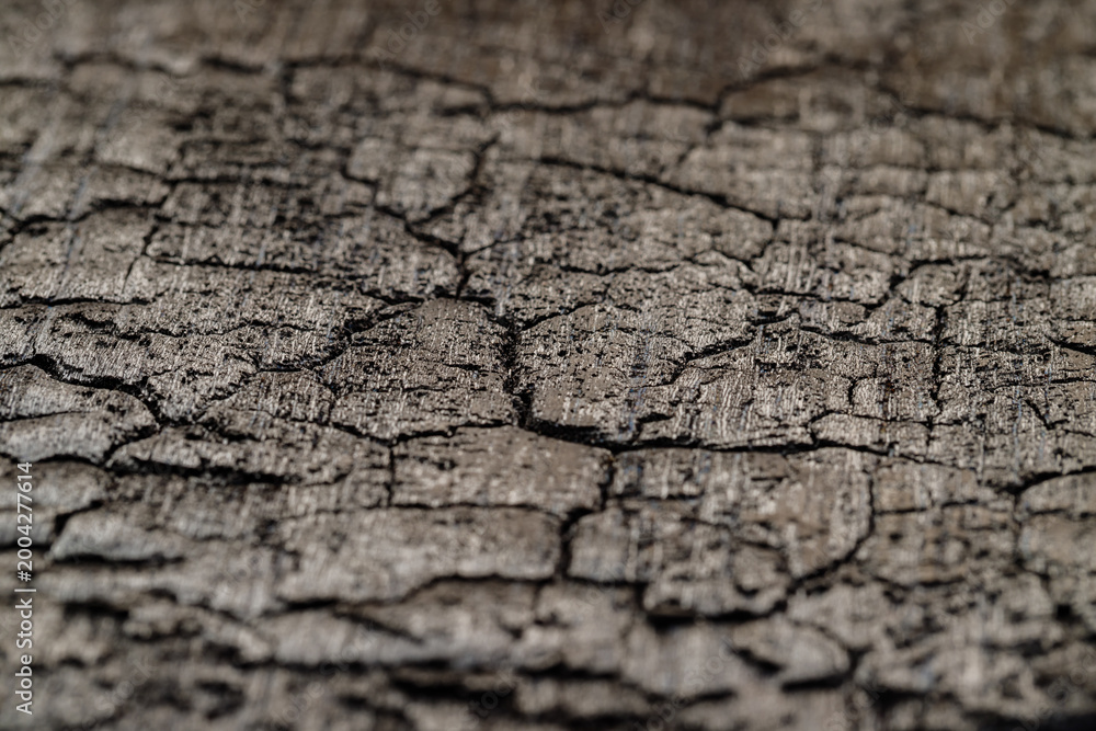 Fototapeta premium Cracked surface of weathered wood showing texture and detail in natural light during the daytime