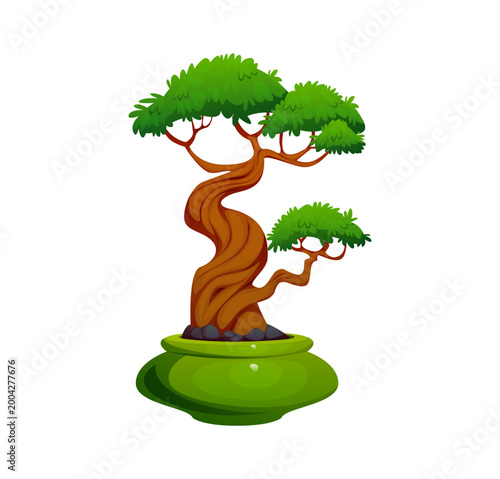 Cartoon Japanese garden bonsai tree decorative plant. Oriental garden twisted vector houseplant, Japanese decorative miniature tree. Japan culture mini plant or bonsai with green round ceramic pot