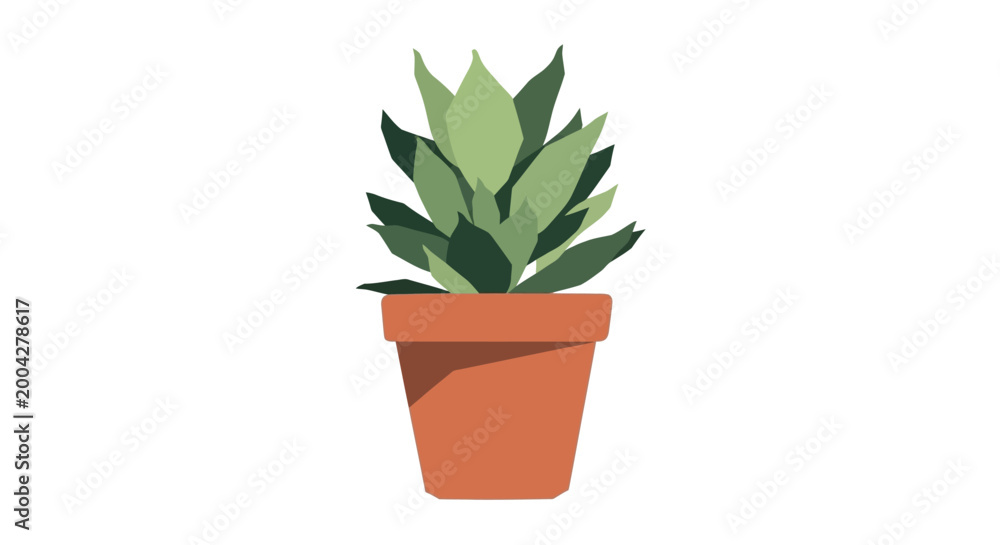 Fototapeta premium Potted Green Plant with Textured Leaves in a Terracotta Pot