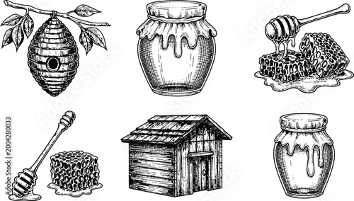 Vintage Honey Bee Sketch Icon Set with Jars Honeycomb and Hive