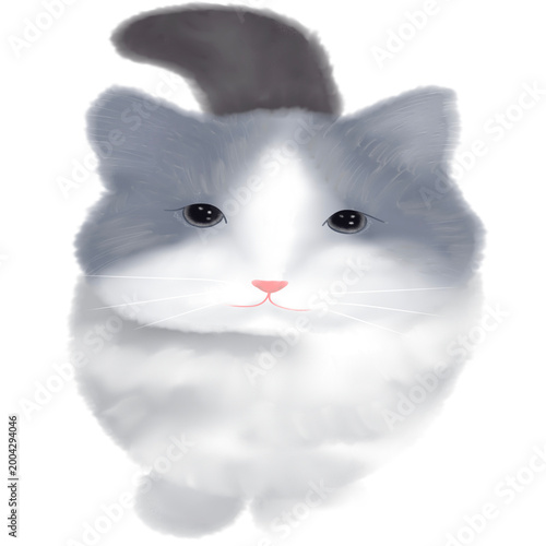  Cute Cats Clipart PNG Kawaii Cat Clipart Set Hand Drawn Watercolor Cats Adorable Kitty