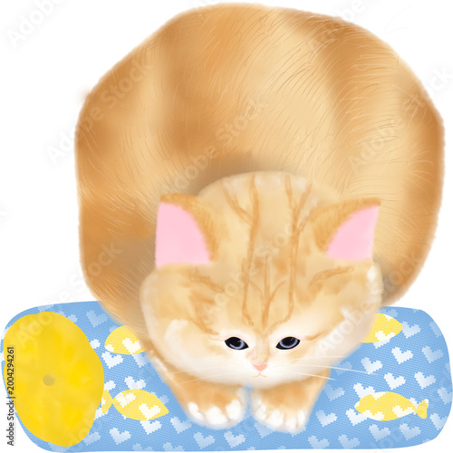  Cute Cats Clipart PNG Kawaii Cat Clipart Set Hand Drawn Watercolor Cats Adorable Kitty