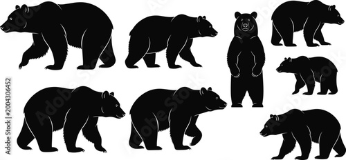 Bear Silhouette Set with Walking Standing and Side View Wild Animal Black Vector Collection for Wildlife Design Forest Theme and Nature Illustration