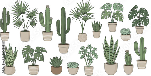 Potted Cactus and Houseplant Collection with Succulents Palm and Monstera Indoor Plants Vector Illustration for Home Decor Botanical Design