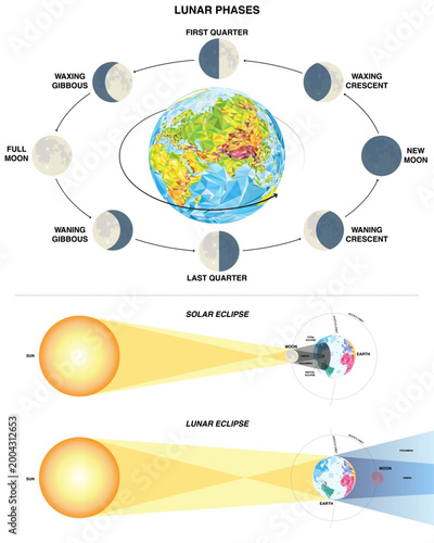 Lunar phases cycle and eclipse diagrams infographic featuring solar and lunar eclipse scientific explanations. Educational astronomy poster for school study vector illustration