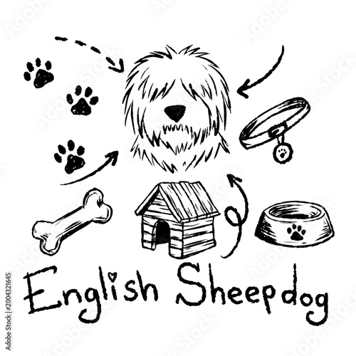 English Sheepdog doodle set, hand drawn dog breed head with collar, bone and house. Sketch pet animal elements, canine portrait. English Sheepdog collection