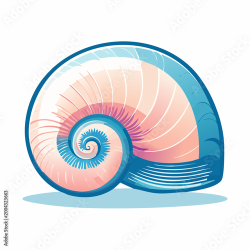 Stylized Nautilus Shell Illustration