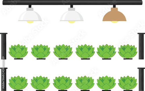 Hydroponic farming system with lettuce plants under grow lights indoor agriculture vector illustration