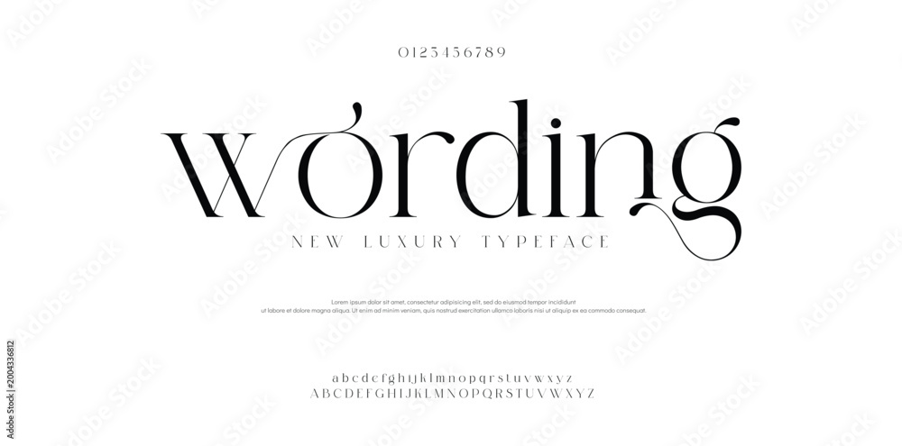Fototapeta premium Wording, Typography typeface uppercase lowercase and number. vector illustration 