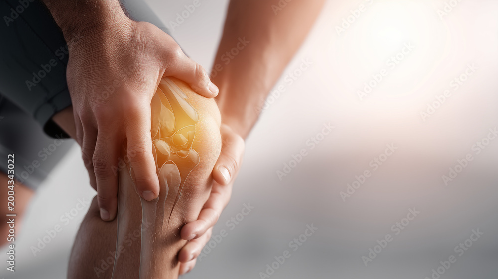 Obraz premium Medical illustration of knee joint with highlighted internal structure. Orthopedic injury, arthritis and pain concept.