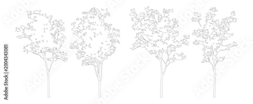 Cuadro en lienzo Minimalist architectural tree outlines, set of 4 vector line art trees for lands