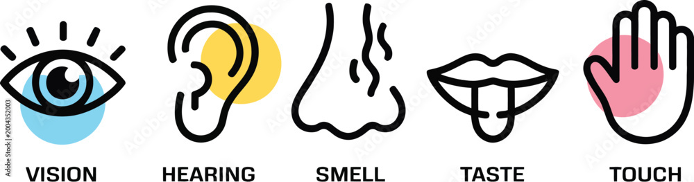 Εκτύπωση καμβά Human sensory icons illustration set, generic five senses symbols including vision hearing smell taste and touch for education and healthcare design